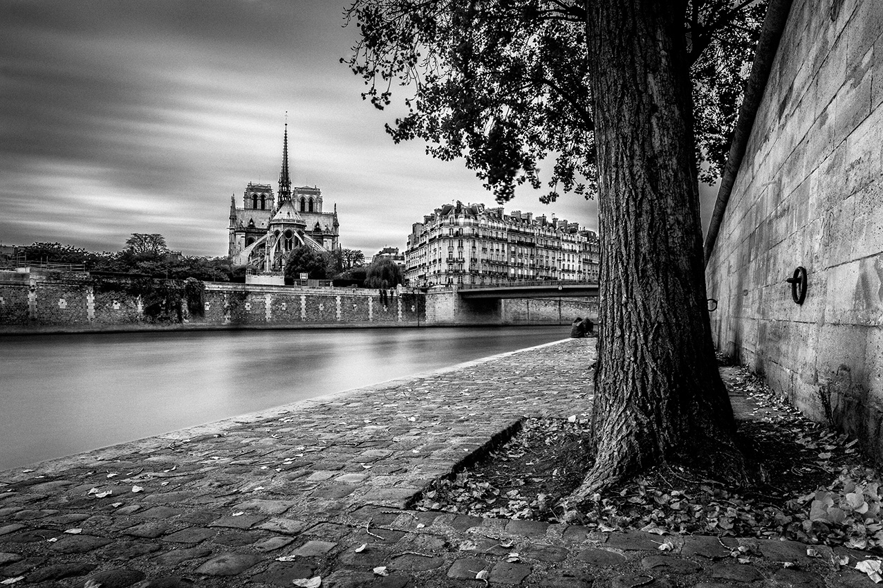 Notre Dame de Paris par Sylvain Gelineau Photographe Professionnel à Toulouse